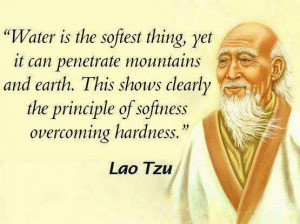Taoism - Lao Tzu - Soft is better than hard.