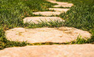 Boy David Sheff We recently had the opportunity to hear david sheff ...
