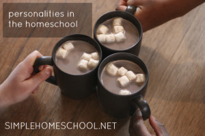 personalities at home1 Homeschooling as an introvert: the blessings ...