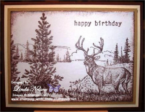 Beautiful Deer Birthday Card