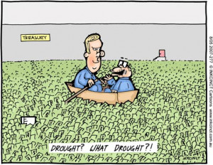 Southern california drought tolerant dwarf trees