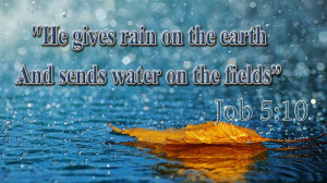 he gives rain on the earth and sends water on the fields job 5 10