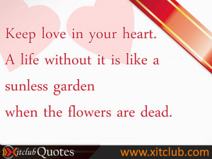 Most Popular Love Quotes