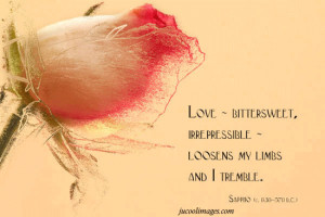 disney princess love quotes