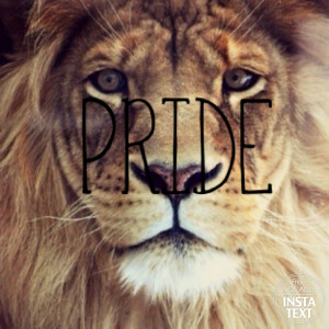 lions pride quote