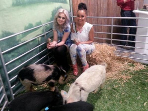 Leigh Anne Pinnock Little