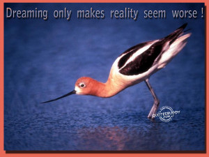 This picture was submitted by Gurinder jeet.