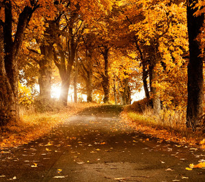 My Journey with Jesus