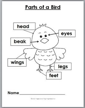 ... Birds Movement, Birds Worksheets, Kids, Birds Preschool Lessons