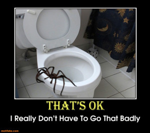 photo hell-spider-spider-toilet-scary-scared-creepy-demotivational ...