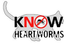 ... Heartworm Awareness Month. Even indoor cats need heartworm prevention