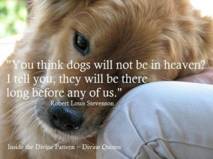 All DOGS go to heaven
