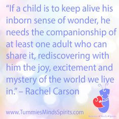 Rachel Carson quote on science.