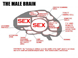 Men and Women's Brain