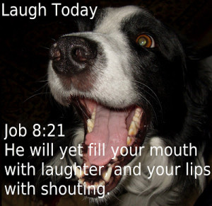 Bible Verse OTD: Laughter
