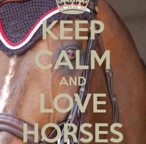 Keep Calm and Love Horses