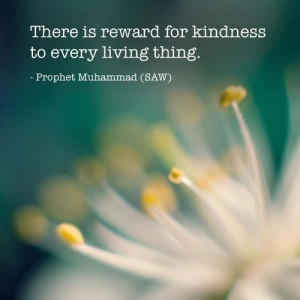 Muhammad Pbuh, Pbuh Quotes, Islam Quotesphoto, Living Things, Faith ...