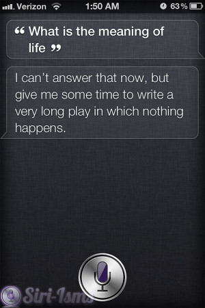 What Is The Meaning Of Life? | Siri-isms: Siri Quotes