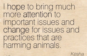 To Bring Much More Attention To Important Issues And Change For Issues ...