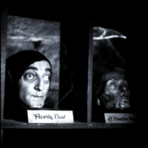 1280 x 720 101 kb jpeg credited to quoteko com