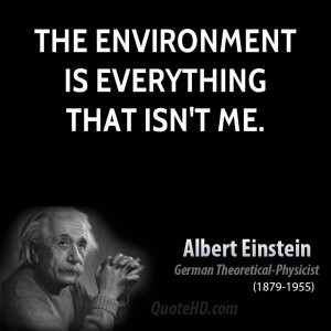 Albert Einstein Environmental Quotes