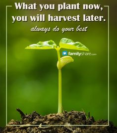 What you plant now, you will harvest later. Always do your best!