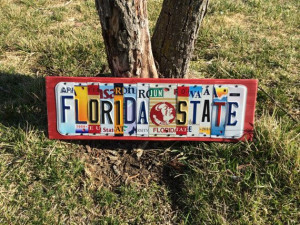 Football Quotes, States Seminoles, Fsu Noles, Florida State University ...