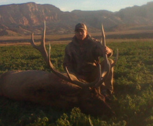 Elk Hunting Photos Photo