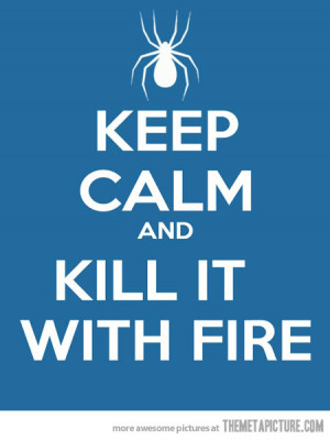 Funny photos funny spider kill it with fire