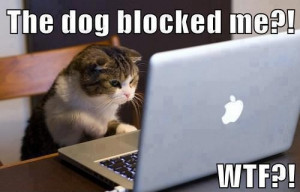 Dog Blocked Me on Facebook