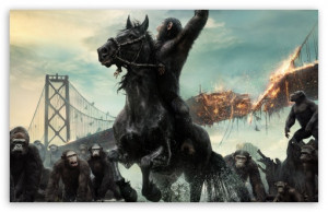 Dawn of the Planet of the Apes 2014 Film HD wallpaper for Standard 4:3 ...