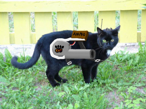 Funny Jokes Pictures Funny Images Collections Funny Quotes