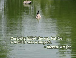 Curiosity Quotes