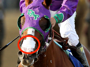 california-chrome-allowed-to-wear-nasal-strip-in-the-belmont-after ...