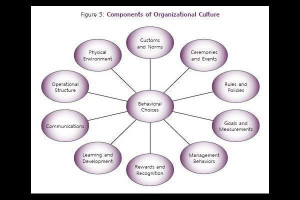 Organizational culture Picture Slideshow