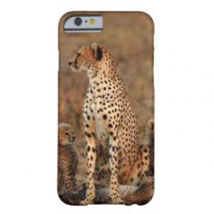 Cheetah Mother and her Babies Barely There iPhone 6 Case