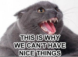 Found on Uploaded by user