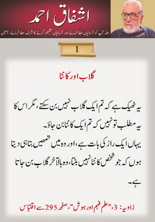Best-Quotes-of-Ashfaq-Ahmed-Famous-Sayings-and-quotes-of-Ashfaq-Ahmed