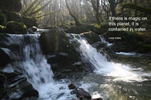 If there is magic on this planet, it is contained in water ...