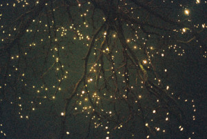 color pictures: 363636 color pictures: 363636 color pictures: 363636 ...