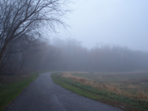 Another foggy picture. This time of the lake and a few geese swimming ...