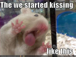 funny hamster quotes