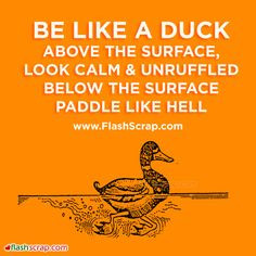 ... the surface look calm and unruffled below the surface paddle like hell