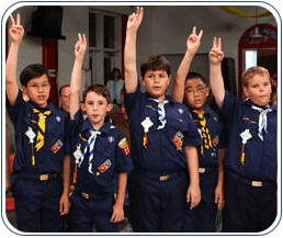 ... on terminology the term cub scouts is used throughout scouting and
