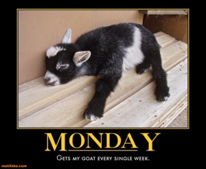 BLOG - Funny I Hate Mondays Pics