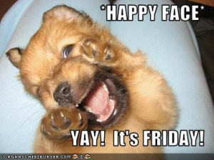 TGIF/ funny animal pictures