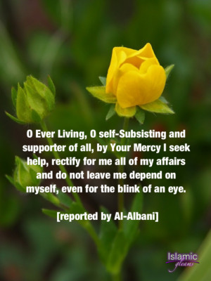 Islamic Prayer Quotes Tagged:islam muslim hadeeth