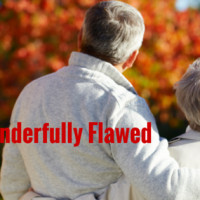 Wonderfully Flawed