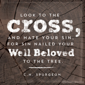Look to the cross, and hate your sin, for sin nailed your Well Beloved ...