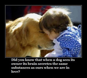 dog and human love